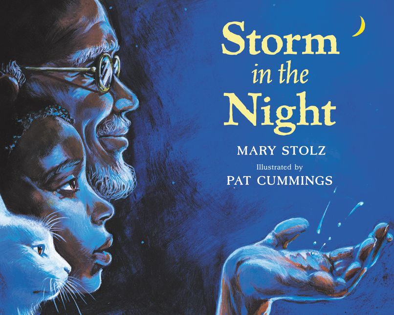 Storm in the Night