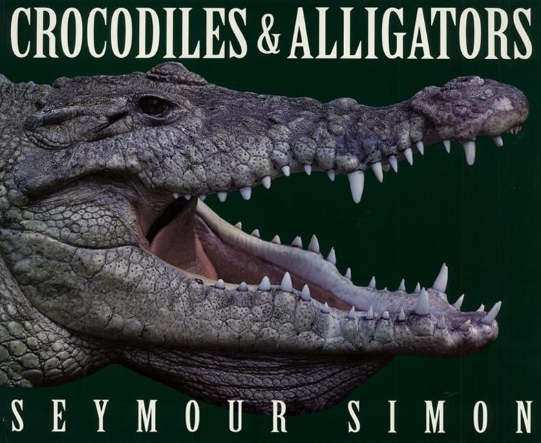 Crocodiles and Alligators