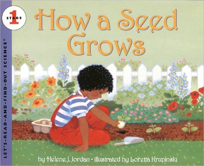 How a Seed Grows