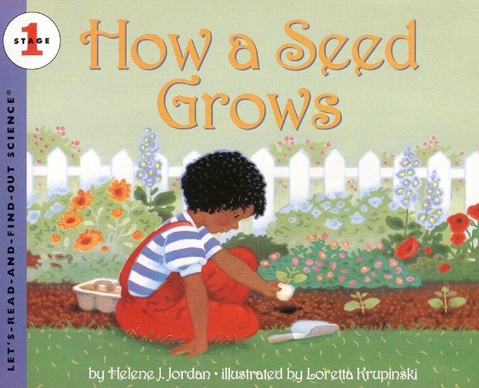 How a Seed Grows