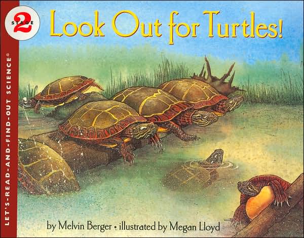 Look Out for Turtles!