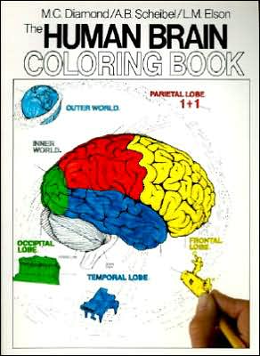 Human Brain Coloring Book