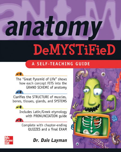 Anatomy Demystified