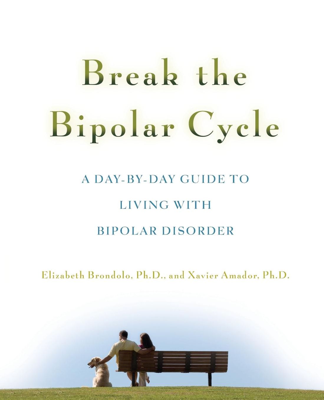 Break the Bipolar Cycle: A Day to Day Guide to Living with Bipolar Disorder