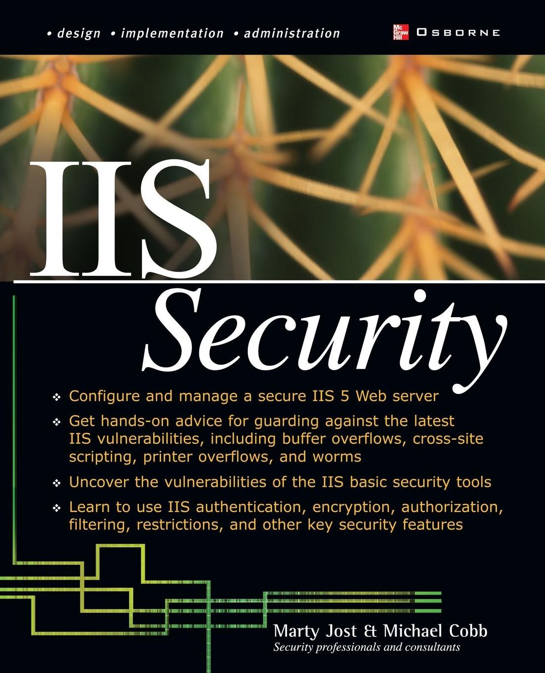 Iis Security