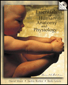 Essential Human Anatomy and Physiology