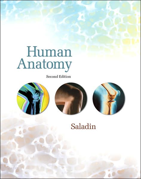 Human Anatomy