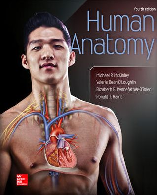 Human Anatomy - Text Only