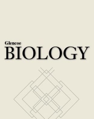 Biology and Science Notebook