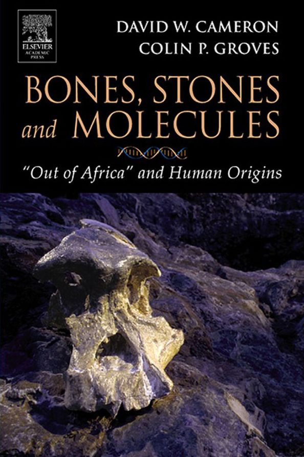 Bones, Stones and Molecules: "Out of Africa" and Human Origins