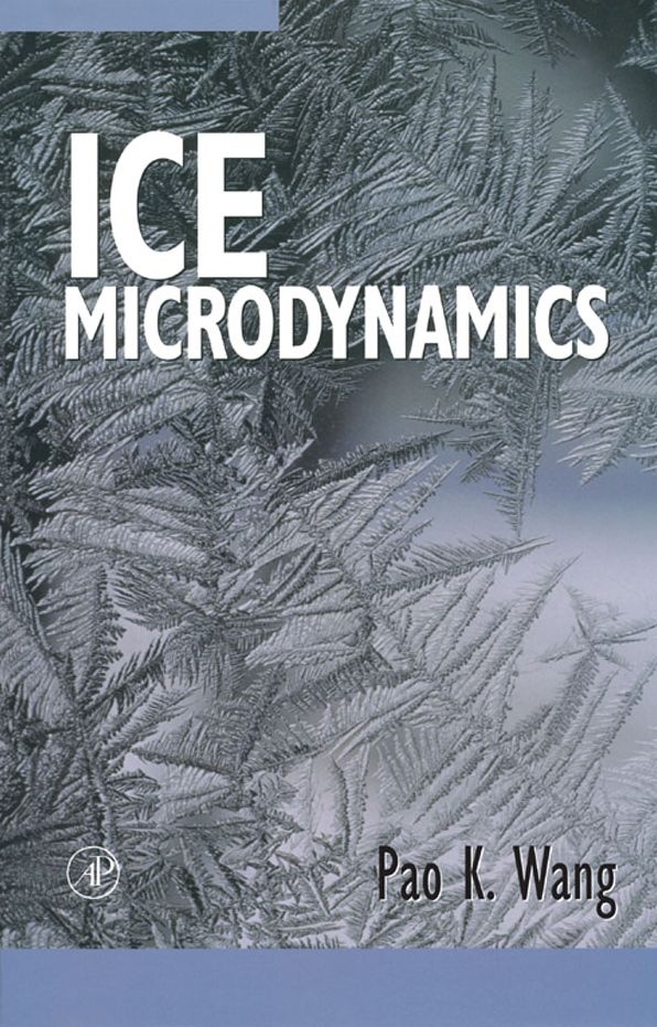 Ice Microdynamics