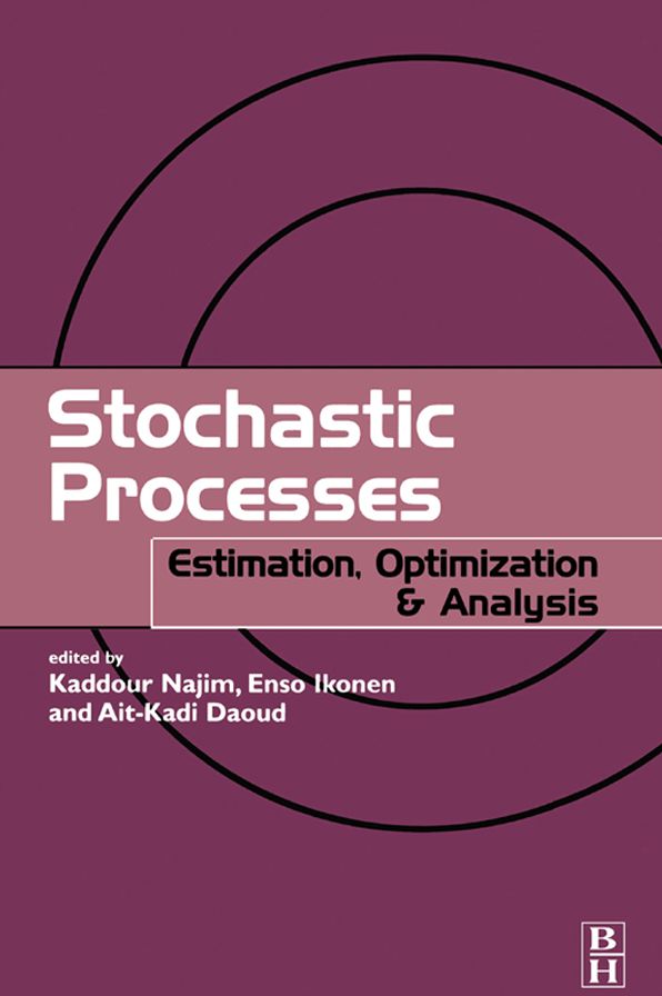 Stochastic Processes: Estimation, Optimisation and Analysis
