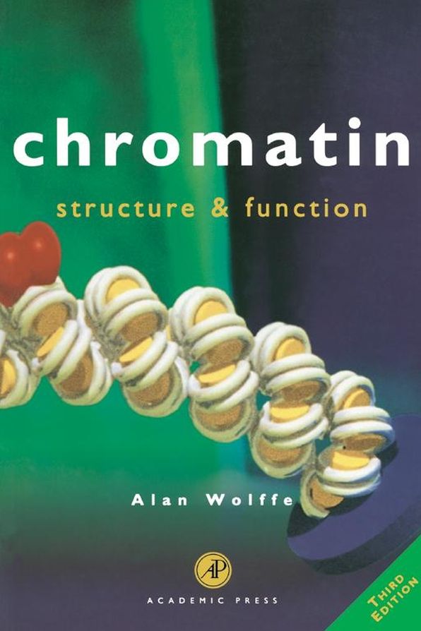 Chromatin: Structure & Function