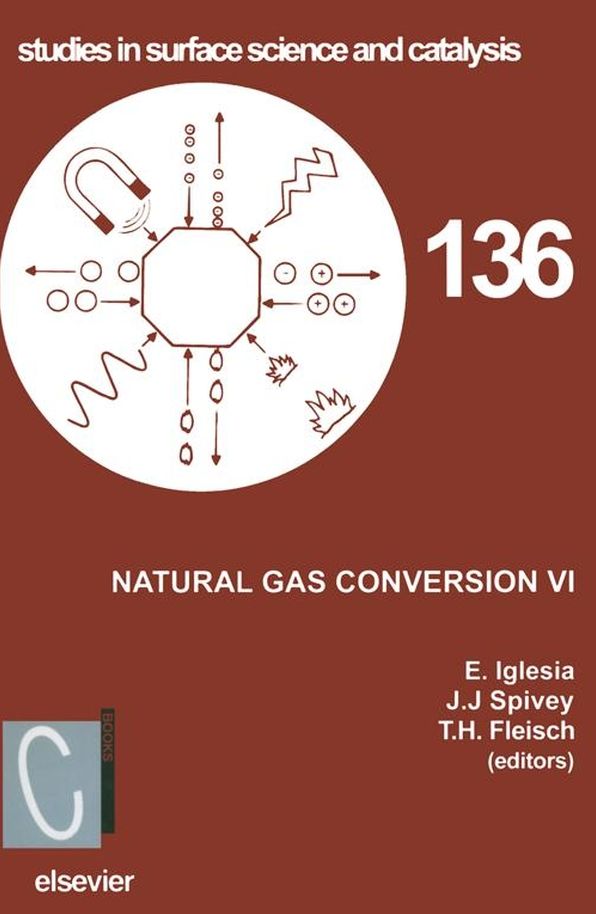 Natural Gas Conversion VI