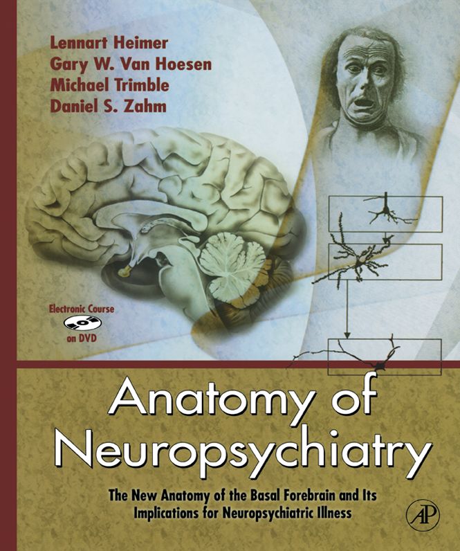 Anatomy of Neuropsychiatry: The New Anatomy of the Basal Forebrain and Its Implications for Neuropsychiatric Illness
