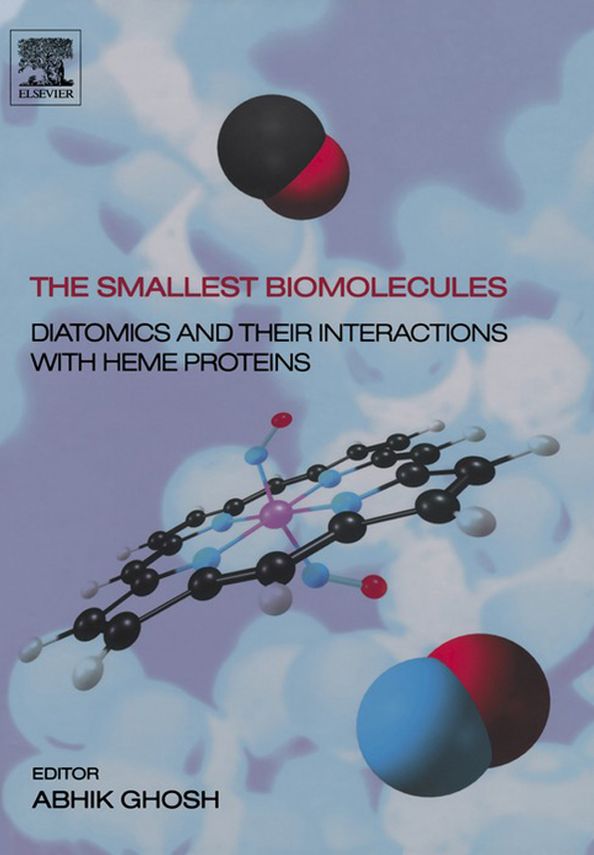 The Smallest Biomolecules: Diatomics and their Interactions with Heme Proteins