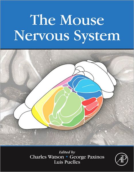The Mouse Nervous System