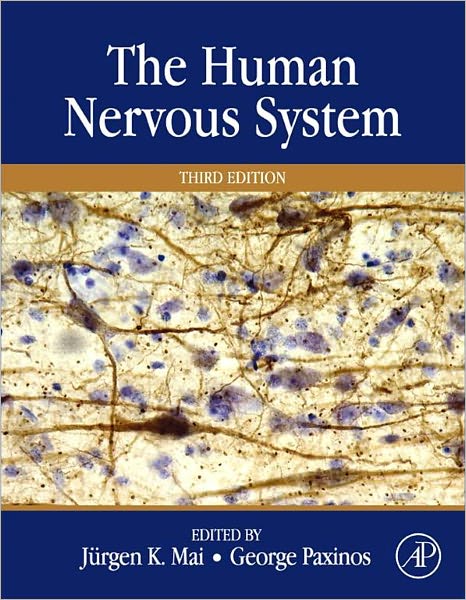 The Human Nervous System