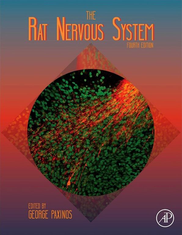 The Rat Nervous System