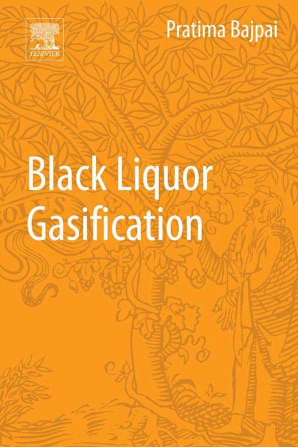Black Liquor Gasification