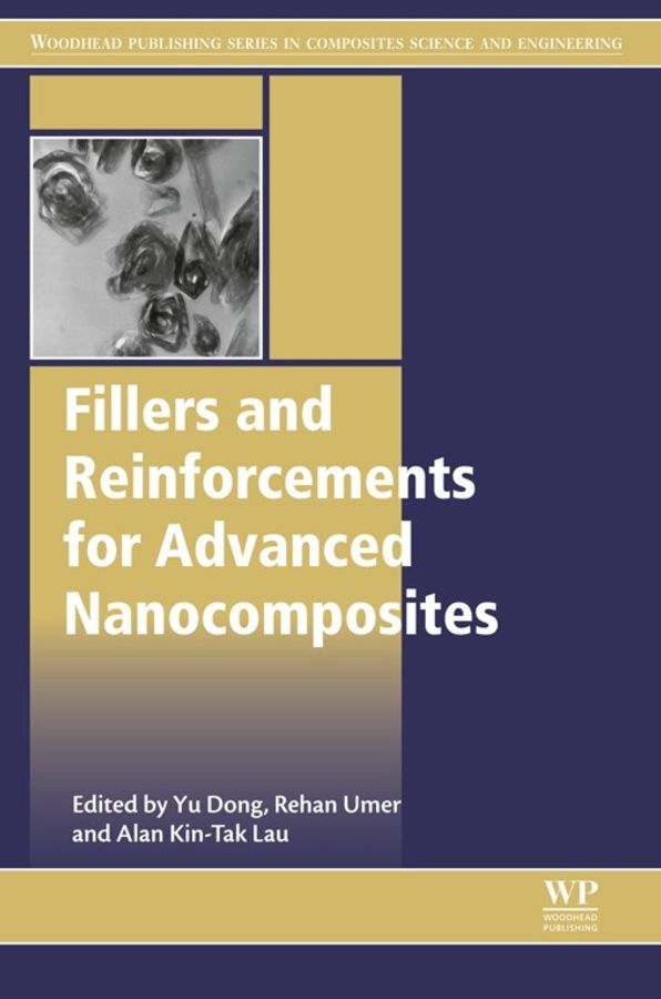 Fillers and Reinforcements for Advanced Nanocomposites