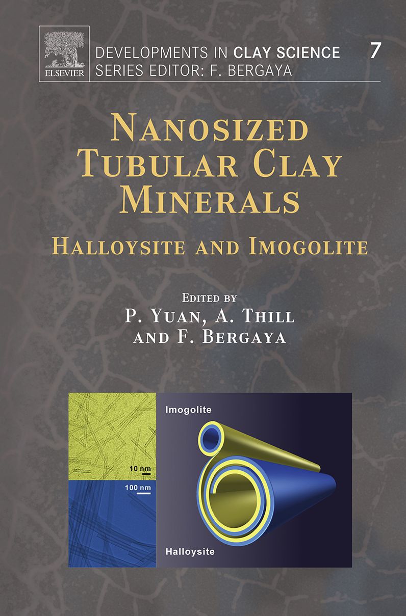 Nanosized Tubular Clay Minerals: Halloysite and Imogolite