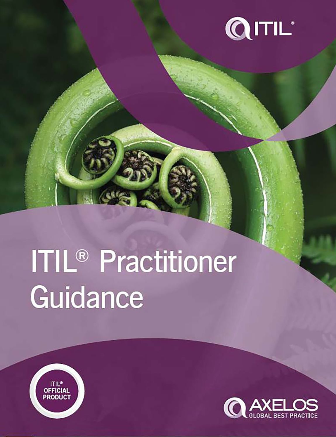 ITIL? Practitioner Guidance