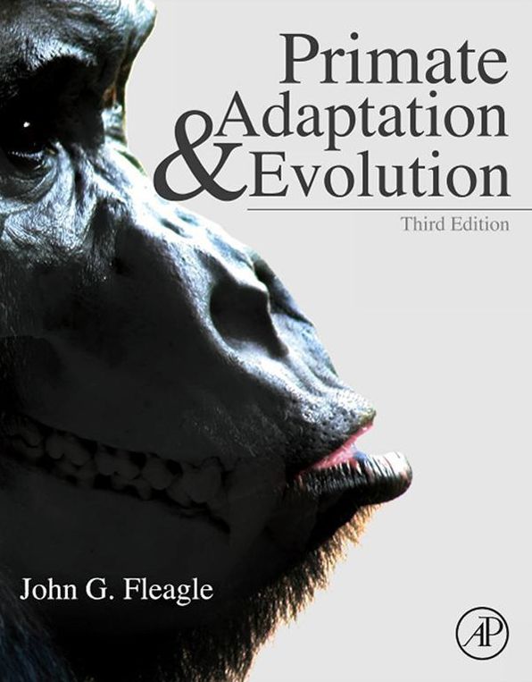 Primate Adaptation and Evolution
