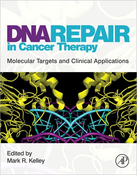 DNA Repair in Cancer Therapy: Molecular Targets and Clinical Applications
