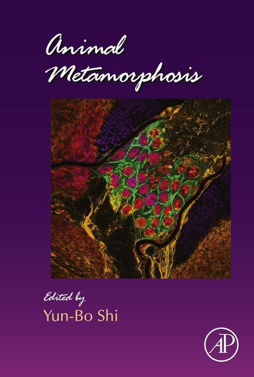 Animal Metamorphosis