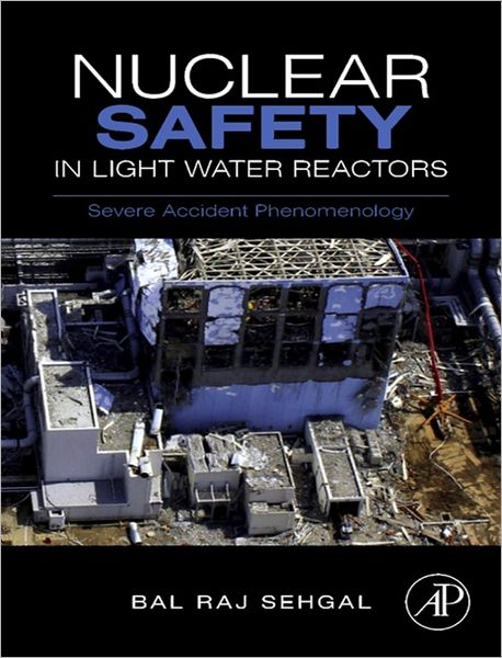 Nuclear Safety in Light Water Reactors: Severe Accident Phenomenology