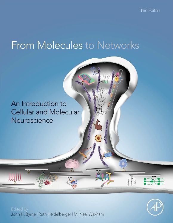 From Molecules to Networks: An Introduction to Cellular and Molecular Neuroscience