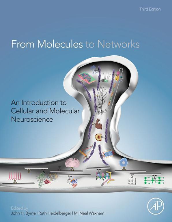 From Molecules to Networks: An Introduction to Cellular and Molecular Neuroscience