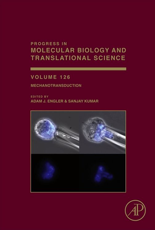 Mechanotransduction
