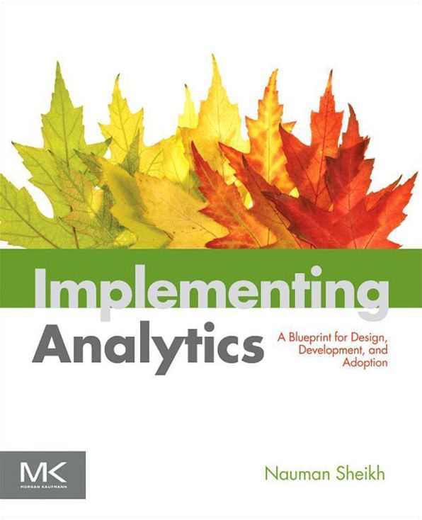 Implementing Analytics: A Blueprint for Design, Development, and Adoption