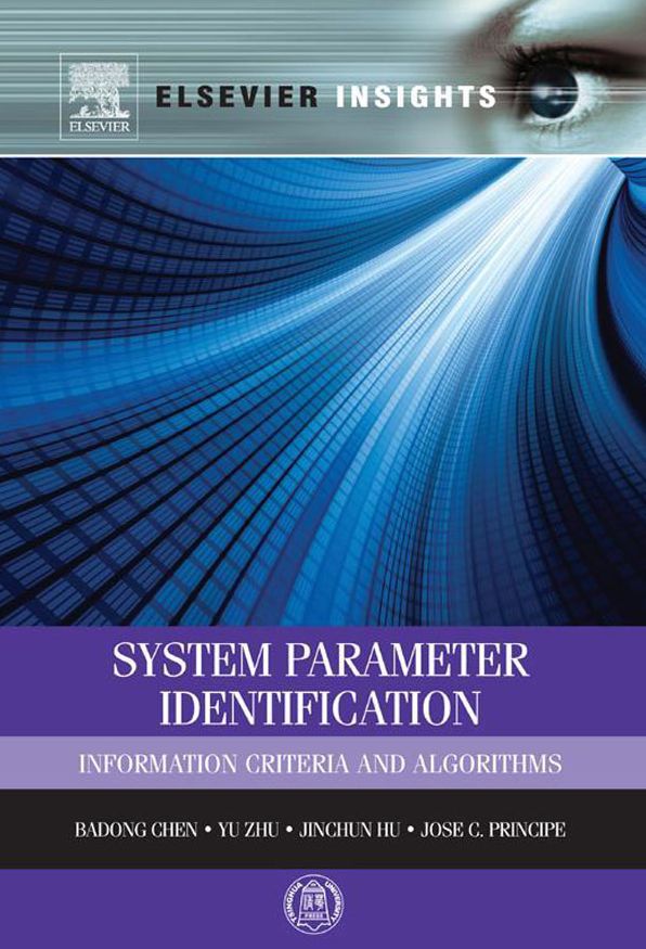 System Parameter Identification: Information Criteria and Algorithms