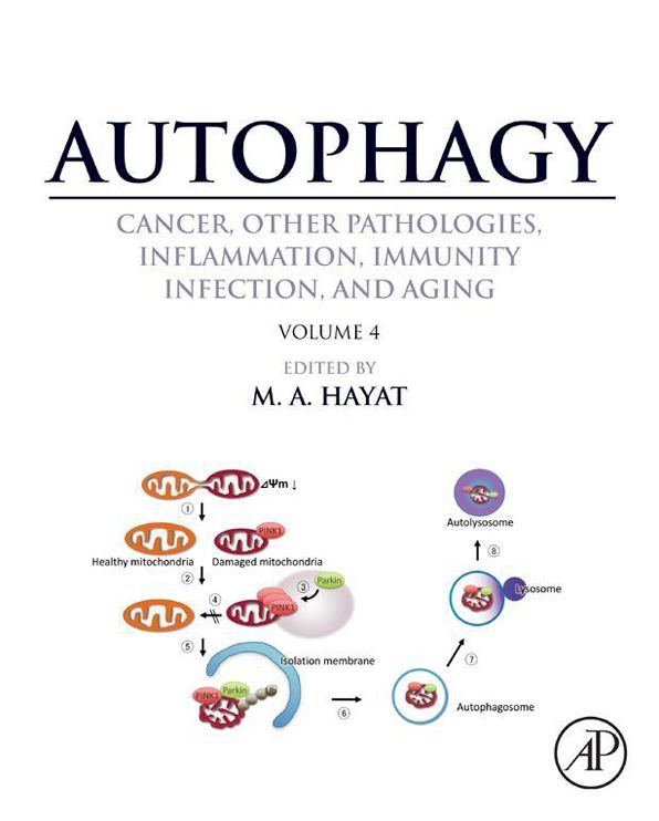 Autophagy: Cancer, Other Pathologies, Inflammation, Immunity, Infection, and Aging: Volume 4 - Mitophagy