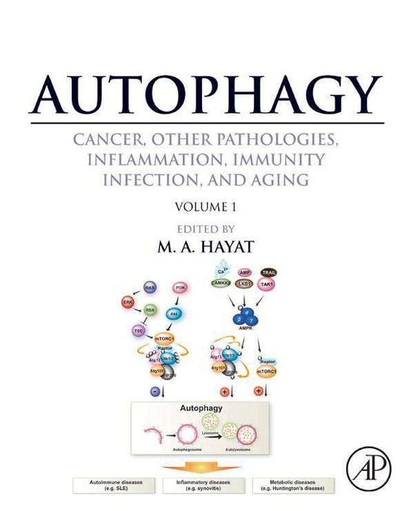 Autophagy: Cancer, Other Pathologies, Inflammation, Immunity, Infection, and Aging: Volume 1 - Molecular Mechanisms