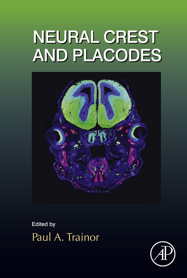 Neural Crest and Placodes