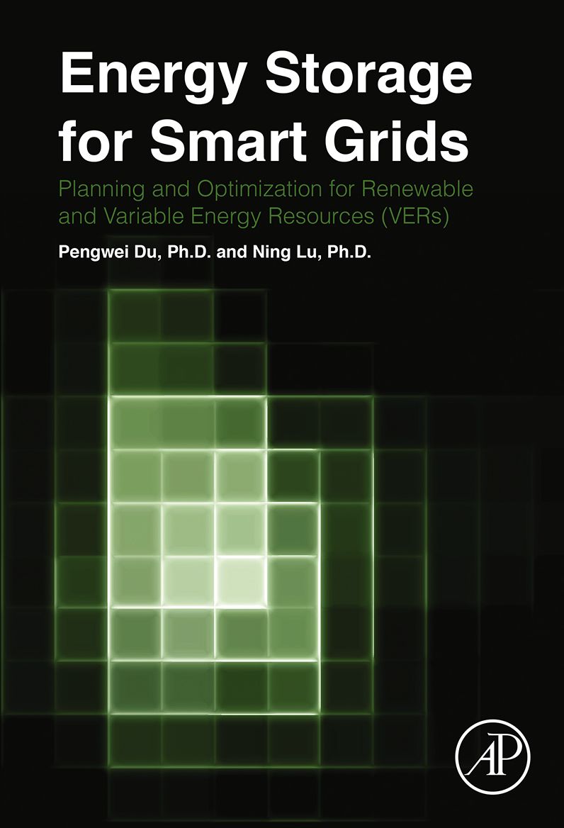 Energy Storage for Smart Grids: Planning and Operation for Renewable and Variable Energy Resources (VERs)