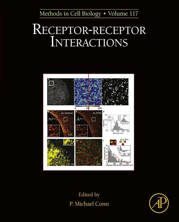 Receptor-Receptor Interactions
