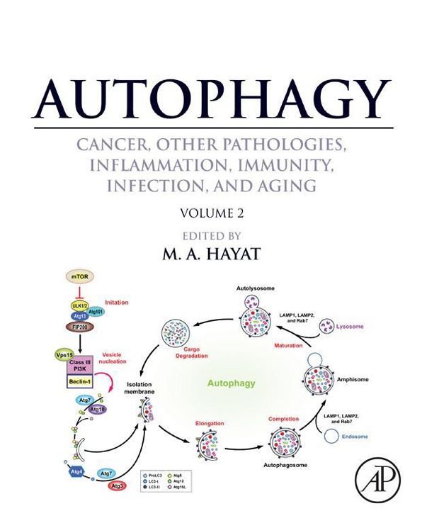 Autophagy: Cancer, Other Pathologies, Inflammation, Immunity, Infection, and Aging: Volume 2 - Role in General Diseases