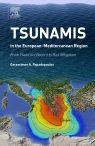 Tsunamis in the European-Mediterranean Region: From Historical Record to Risk Mitigation
