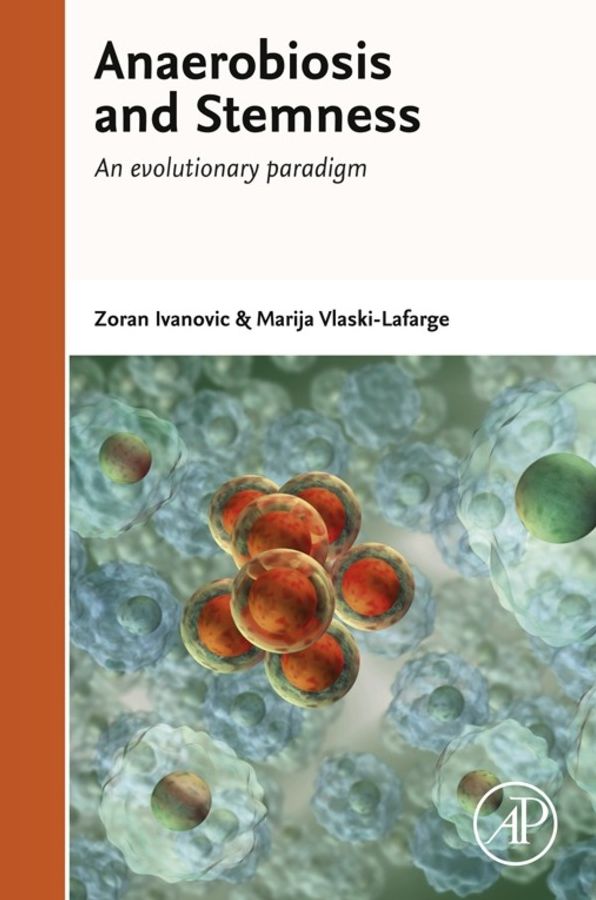 Anaerobiosis and Stemness: An Evolutionary Paradigm for Therapeutic Applications