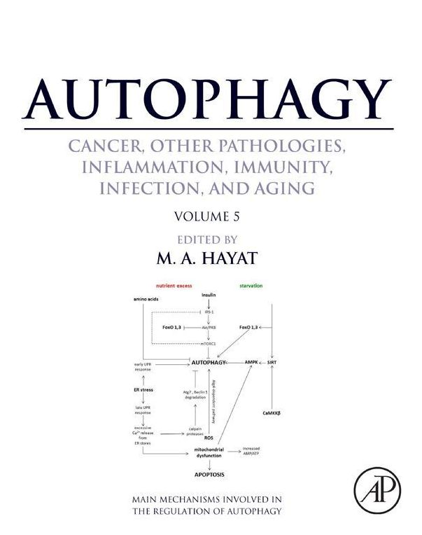 Autophagy: Cancer, Other Pathologies, Inflammation, Immunity, Infection, and Aging: Volume 5 - Role in Human Diseases