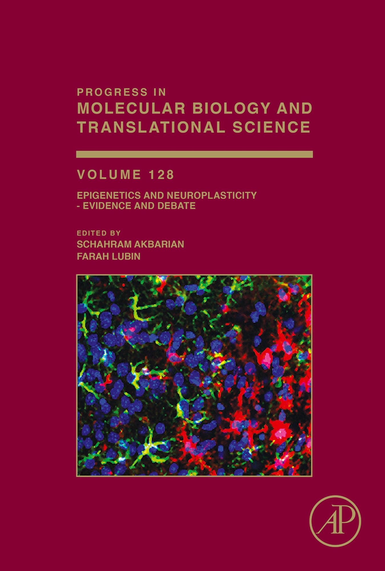 Epigenetics and Neuroplasticity - Evidence and Debate