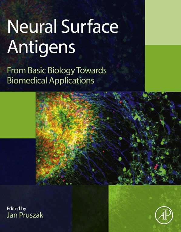 Neural Surface Antigens: From Basic Biology Towards Biomedical Applications