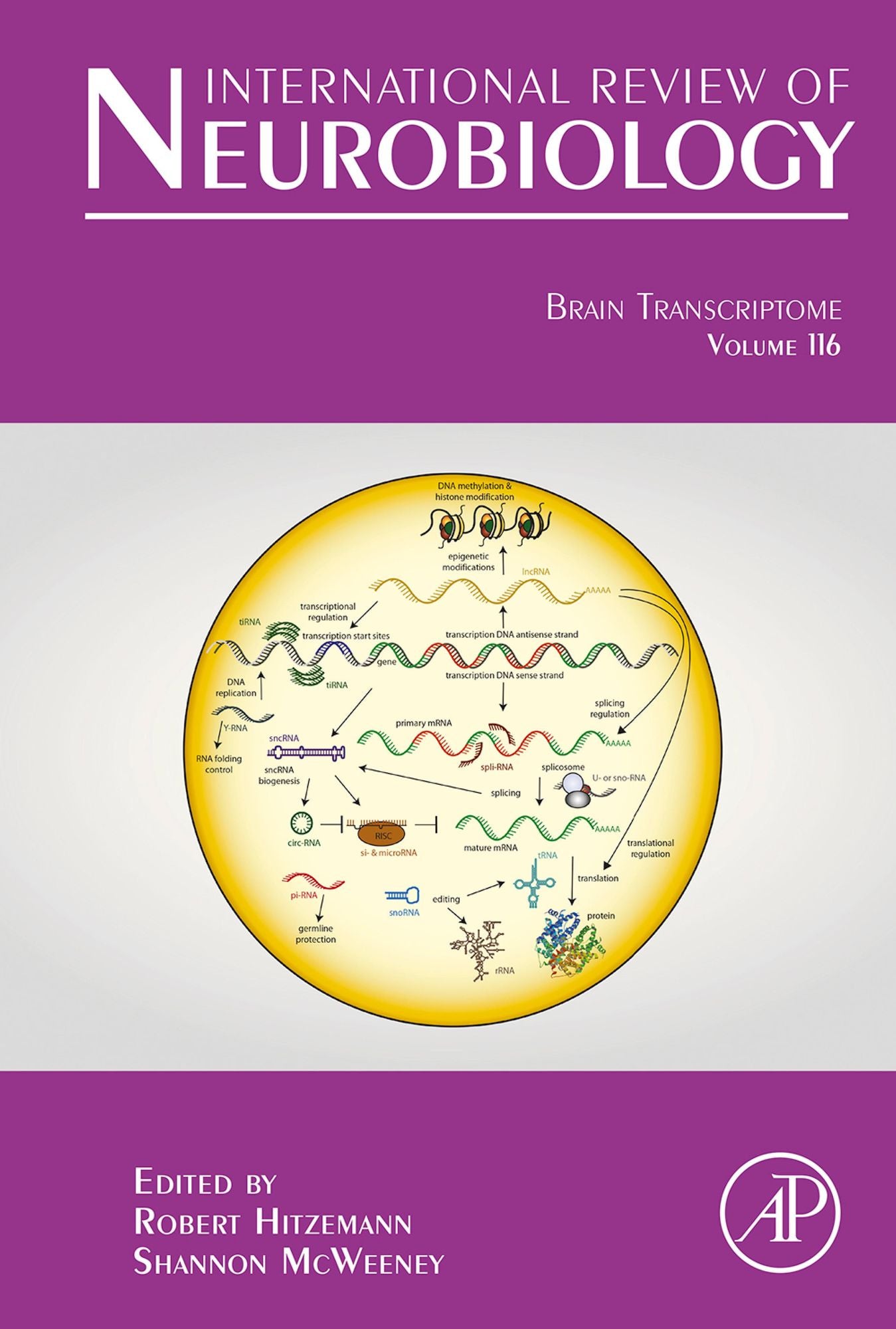 Brain Transcriptome