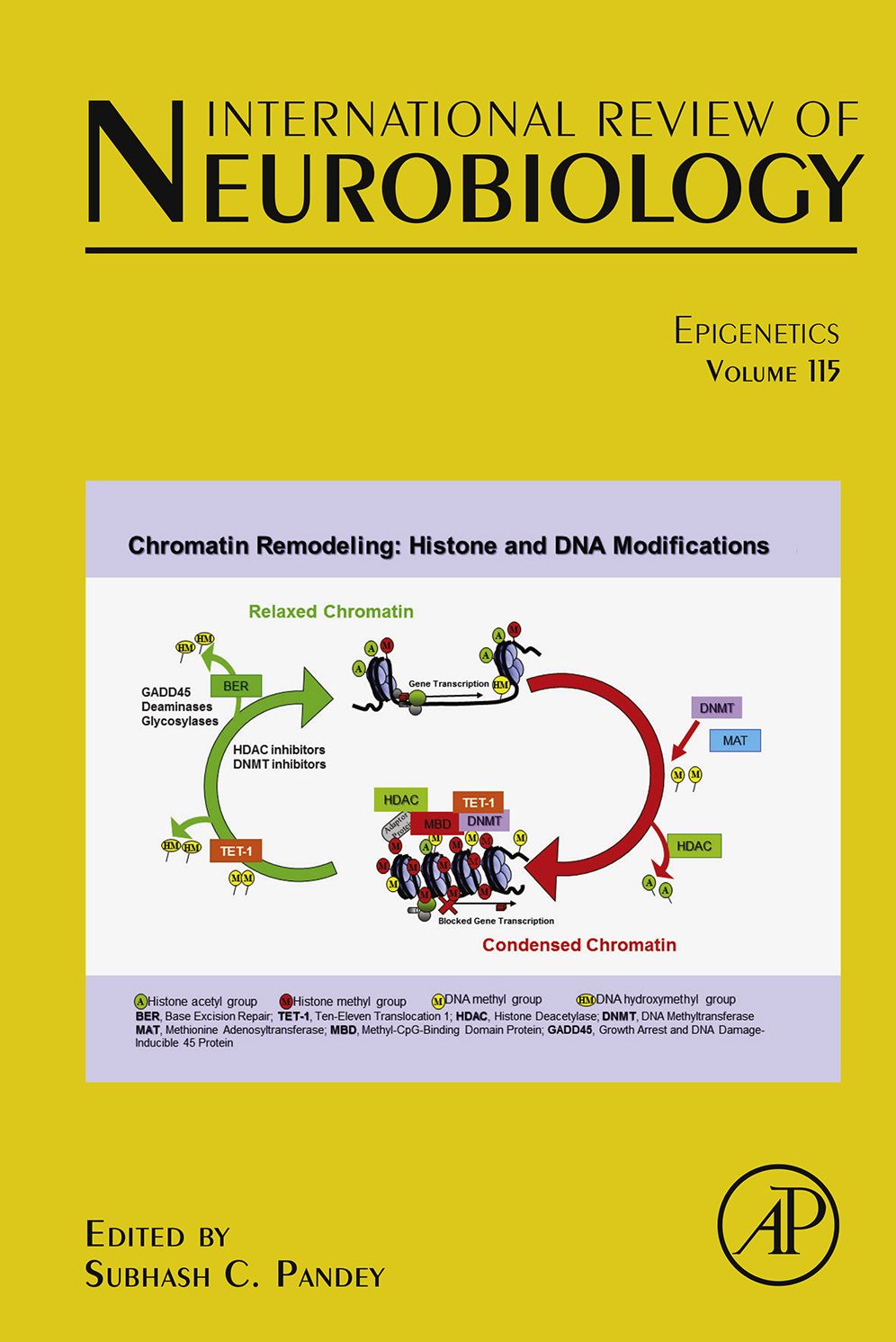 Epigenetics