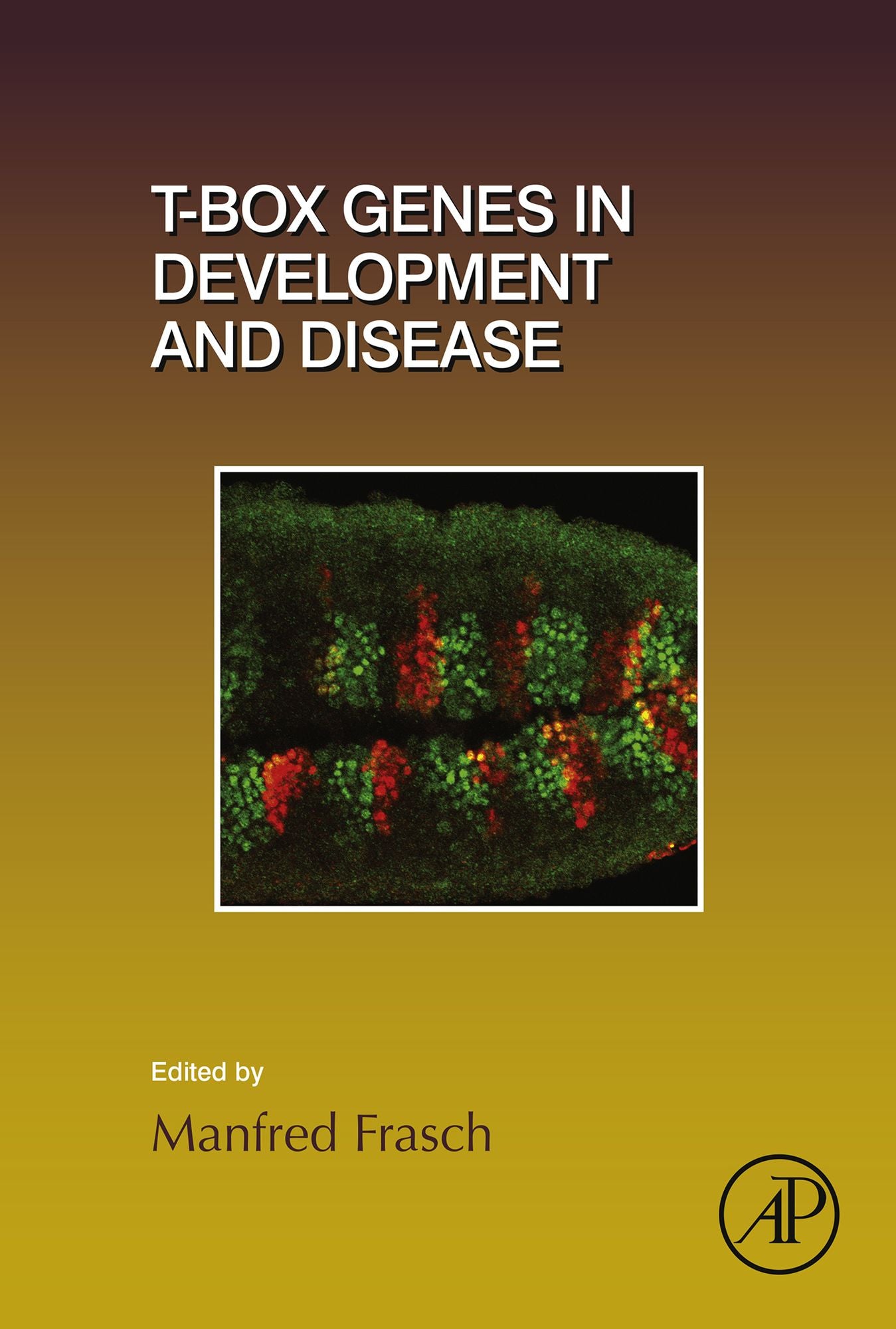 T-box Genes in Development and Disease